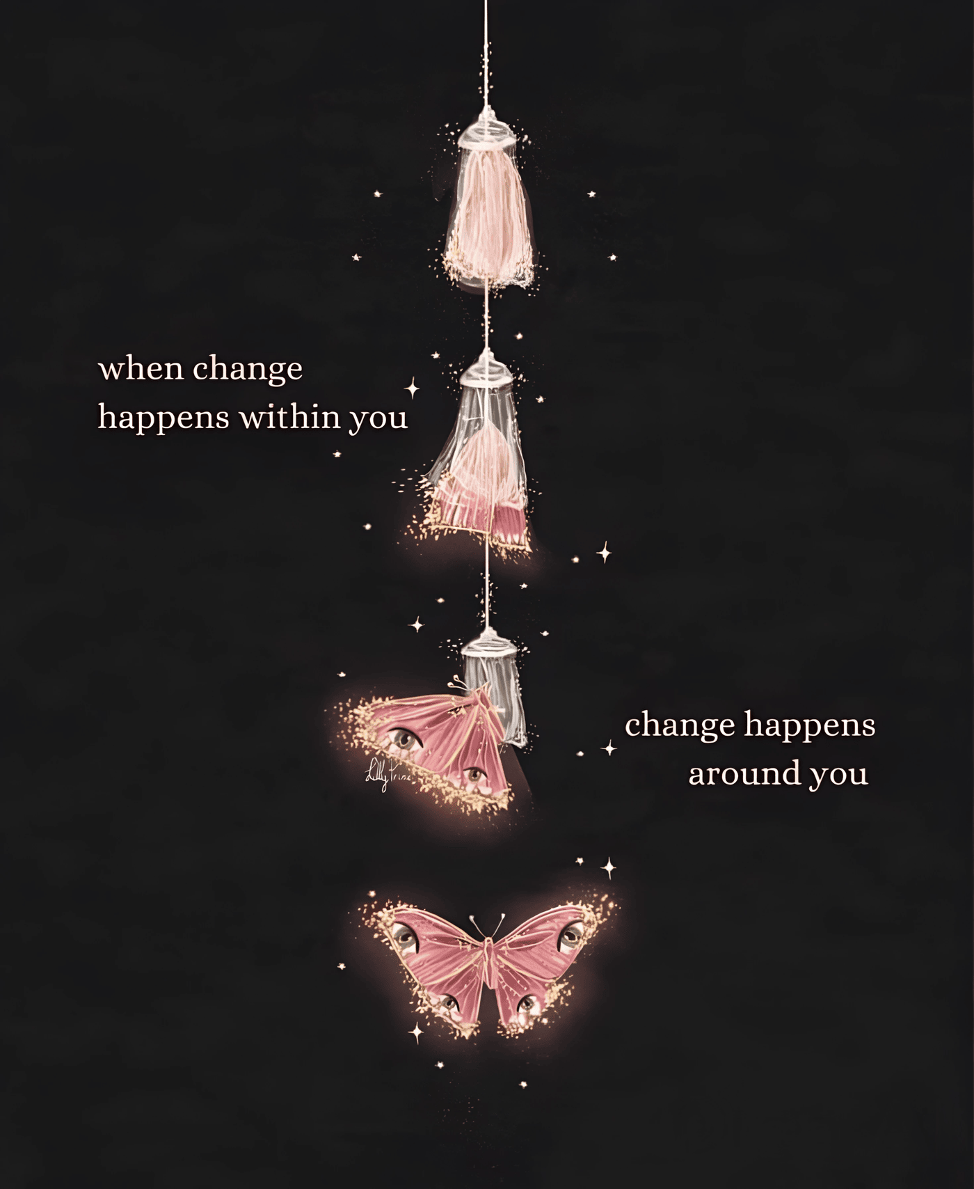 wmremove-transformed (1) (1).png